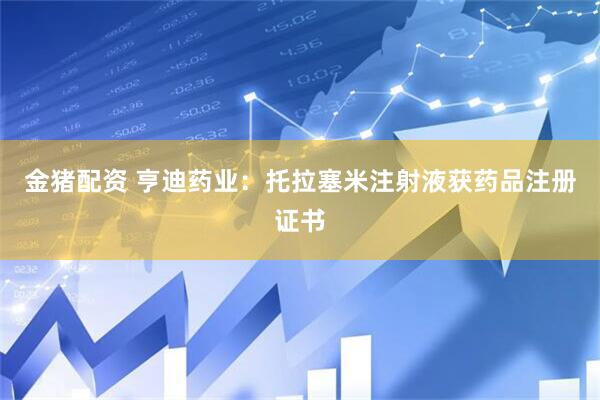 金猪配资 亨迪药业：托拉塞米注射液获药品注册证书