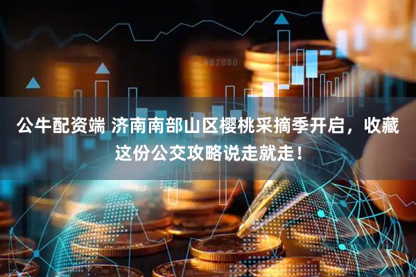 公牛配资端 济南南部山区樱桃采摘季开启，收藏这份公交攻略说走就走！