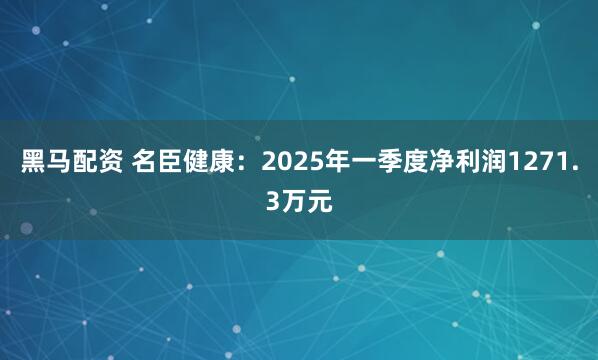 黑马配资 名臣健康：2025年一季度净利润1271.3万元
