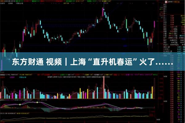 东方财通 视频｜上海“直升机春运”火了……