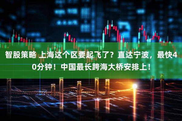 智股策略 上海这个区要起飞了？直达宁波，最快40分钟！中国最长跨海大桥安排上！